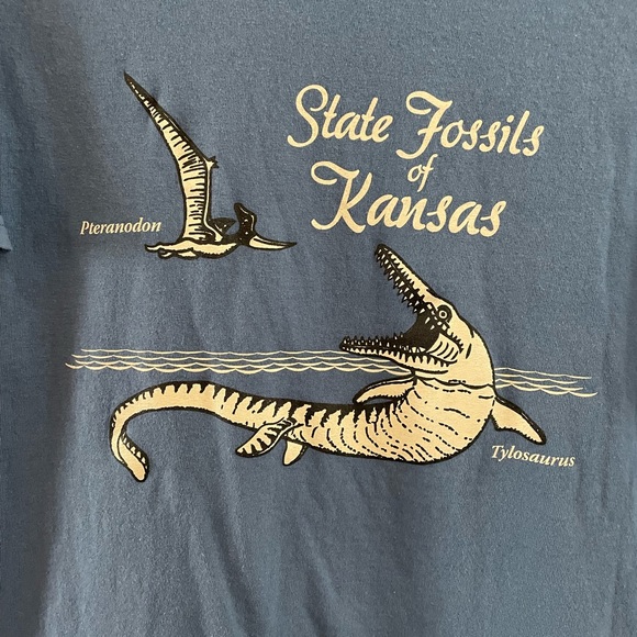 Gildan Heavy Cotton State Fossils of Kansas Unisex Tee Size Medium - Picture 7 of 7